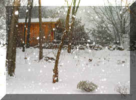 snow1sm.jpg (244742 bytes)